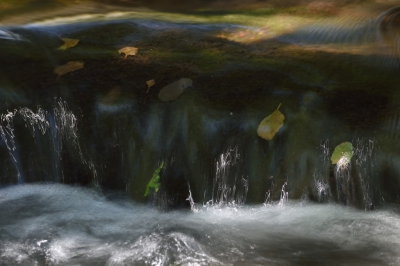 <i class='fa fa-user'></i>&nbsp;liesbeth van vliet&nbsp;|  Licht en water&nbsp; <i class='fa fa-eye'>&nbsp;100</i> &nbsp;<i class='fa fa-thumbs-up'>&nbsp;1</i> &nbsp; <i class='fa fa-comment-o'>&nbsp;2</i>
