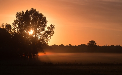 <i class='fa fa-user'></i>&nbsp;nelappelmelk&nbsp;|  Zon en mist&nbsp; <i class='fa fa-eye'>&nbsp;94</i> &nbsp; <i class='fa fa-comment-o'>&nbsp;4</i>