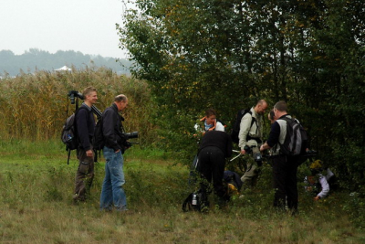 Overzichtsfoto van de vindplaats van de vliegenzwam.