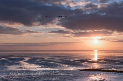 <i class='fa fa-user'></i>&nbsp;ep&nbsp;|  Het wad&nbsp; <i class='fa fa-eye'>&nbsp;143</i> &nbsp;<i class='fa fa-thumbs-up'>&nbsp;1</i> &nbsp; <i class='fa fa-comment-o'>&nbsp;2</i>