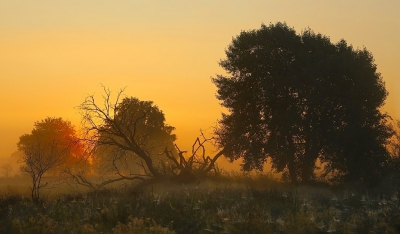 <i class='fa fa-user'></i>&nbsp;Ben Aalders&nbsp;|  Zonsopkomst Dwingelderveld&nbsp; <i class='fa fa-eye'>&nbsp;127</i> &nbsp;<i class='fa fa-thumbs-up'>&nbsp;3</i> &nbsp; <i class='fa fa-comment-o'>&nbsp;2</i>