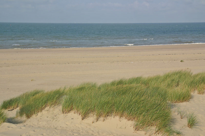 <i class='fa fa-user'></i> Frans Nottrot | Strand op Walcheren  <i class='fa fa-eye'> 197</i>   <i class='fa fa-comment-o'> 1</i>