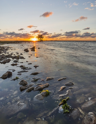 <i class='fa fa-user'></i>&nbsp;Matthijs&nbsp;|  Zonsondergang&nbsp; <i class='fa fa-eye'>&nbsp;154</i> &nbsp;<i class='fa fa-thumbs-up'>&nbsp;3</i> &nbsp; <i class='fa fa-comment-o'>&nbsp;10</i>