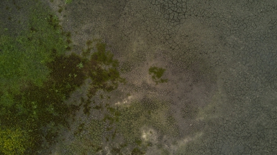 <i class='fa fa-user'></i>&nbsp;Henri van Vliet&nbsp;|  Lage waterstand in natuurgebied&nbsp; <i class='fa fa-eye'>&nbsp;179</i> &nbsp;<i class='fa fa-thumbs-up'>&nbsp;1</i> &nbsp; <i class='fa fa-comment-o'>&nbsp;7</i>