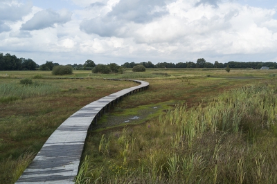 <i class='fa fa-user'></i>&nbsp;Henri van Vliet&nbsp;|  Lage waterstand in natuurgebied&nbsp; <i class='fa fa-eye'>&nbsp;176</i> &nbsp; <i class='fa fa-comment-o'>&nbsp;4</i>