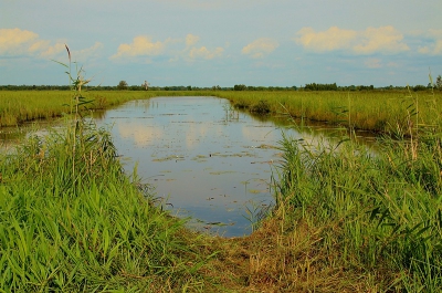 <i class='fa fa-user'></i>&nbsp;frbeuming&nbsp;|  Landschap&nbsp; <i class='fa fa-eye'>&nbsp;74</i> &nbsp; <i class='fa fa-comment-o'>&nbsp;0</i>