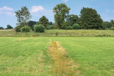 De Peelrandbreuk is een breuklijn in de ondergrond van Nederland en loopt van Roermond naar het noordwesten via Meijel, Deurne, Gemert en Uden tot bij Heesch. Deze actieve breuklijn was de veroorzaker van de voor Nederlandse begrippen ongekend krachtige aarbeving (5,8 op de schaal van Richter) op ca. 17 km diepte onder Roermond op 13 april 1992 's nachts om 3.20 uur. De breuklijn scheidt de hoger gelegen Peelhorst van de lager gelegen Roerdalslenk of Centrale Slenk. Hoewel het hoogteverschil minstens 40 m is, is er in het landschap weinig van te zien want in de loop van vele eeuwen zijn de lagere delen opgevuld met dekzand. Maar ten westen van Uden is de breuklijn nog zichtbaar als een hoogteverschil (steilrand) van 2-3 meter zoals te zien in de foto. Wie op de vegetatie let, ziet iets opvallends: het hogere deel (de horstzijde) is vochtig getuige de aanwezigheid van o.a. riet en het lagere deel (de slenkzijde) is droog. Normaal is het precies andersom. De oorzaak is bekend onder de naam wijst, een zeer zeldzaam verschijnsel niet alleen in Nederland maar ook in Europa. De breuklijn is waterondoorlatend omdat die is versmeerd met leem uit de leemlagen. En waar toch nog wat water kon doorstromen is ijzeroer afgezet waarna ook die plekken ondoorlatend zijn geworden. Het kwelwater dat bij de horstzijde naar de oppervlakte wordt gestuwd (omdat het niet naar beneden kan vanwege de ondiep gelegen klei- en leemlagen) is namelijk zeer rijk aan ijzer. Nadat het kwelwater over de rand is gelopen, zakt het in de dikke dekzandlaag waardoor de slenkzijde dus droog is. Behalve schoon en zeer rijk aan ijzer (dat fosfaat bindt) bevat het kwelwater in de wijstgronden ook veel andere mineralen waardoor een rijke flora aanwezig is. Helaas zijn in de afgelopen decennia door ruilverkwaveling veel wijstgebieden verloren gegaan door ontginning maar dit gebiedje bij Uden is gespaard gebleven en wordt waar nodig zo veel mogelijk in de oorspronkelijke staat hersteld. Sinds 2004 is het een aardkundig monument.