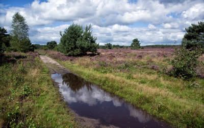 <i class='fa fa-user'></i>&nbsp;nelappelmelk&nbsp;|  Buien bij de heide&nbsp; <i class='fa fa-eye'>&nbsp;149</i> &nbsp; <i class='fa fa-comment-o'>&nbsp;4</i>