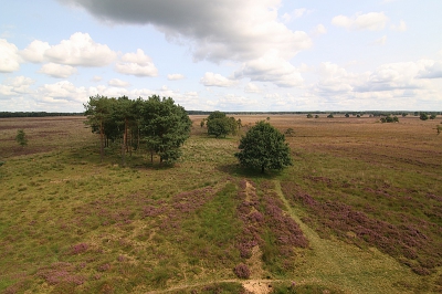 <i class='fa fa-user'></i>&nbsp;frbeuming&nbsp;|  Doldersummerveld&nbsp; <i class='fa fa-eye'>&nbsp;104</i> &nbsp; <i class='fa fa-comment-o'>&nbsp;4</i>