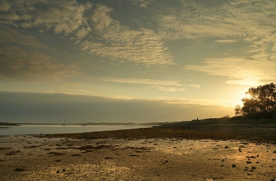 <i class='fa fa-user'></i>&nbsp;Nel R&nbsp;|  Zomer (avond) in Zeeland&nbsp; <i class='fa fa-eye'>&nbsp;178</i> &nbsp;<i class='fa fa-thumbs-up'>&nbsp;2</i> &nbsp; <i class='fa fa-comment-o'>&nbsp;6</i>