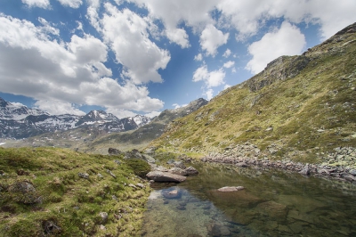 <i class='fa fa-user'></i>&nbsp;kiran&nbsp;|  Bergstroompje in de Alpen&nbsp; <i class='fa fa-eye'>&nbsp;183</i> &nbsp;<i class='fa fa-thumbs-up'>&nbsp;3</i> &nbsp; <i class='fa fa-comment-o'>&nbsp;9</i>