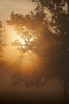 <i class='fa fa-user'></i>&nbsp;Sam Dijkstra&nbsp;|  Zonsopkomst&nbsp; <i class='fa fa-eye'>&nbsp;161</i> &nbsp; <i class='fa fa-comment-o'>&nbsp;6</i>