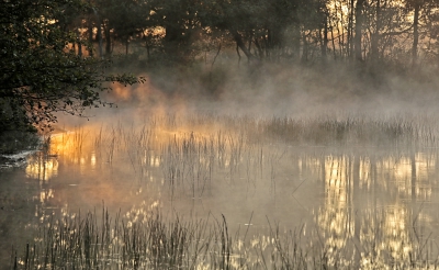 <i class='fa fa-user'></i>&nbsp;nelappelmelk&nbsp;|  Gekleurde zonsopgang&nbsp; <i class='fa fa-eye'>&nbsp;234</i> &nbsp;<i class='fa fa-thumbs-up'>&nbsp;7</i> &nbsp; <i class='fa fa-comment-o'>&nbsp;11</i>
