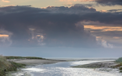 <i class='fa fa-user'></i>&nbsp;ep&nbsp;|  Waddenzee  Boschplaat&nbsp; <i class='fa fa-eye'>&nbsp;256</i> &nbsp;<i class='fa fa-thumbs-up'>&nbsp;1</i> &nbsp; <i class='fa fa-comment-o'>&nbsp;8</i>