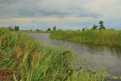 <i class='fa fa-user'></i>&nbsp;frbeuming&nbsp;|  Landschap&nbsp; <i class='fa fa-eye'>&nbsp;103</i> &nbsp; <i class='fa fa-comment-o'>&nbsp;2</i>