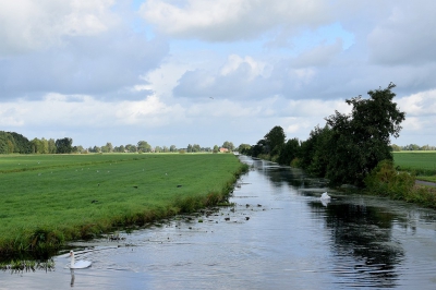 <i class='fa fa-user'></i>&nbsp;kooyammers&nbsp;|  Vaart langs Bergweg&nbsp; <i class='fa fa-eye'>&nbsp;95</i> &nbsp; <i class='fa fa-comment-o'>&nbsp;7</i>