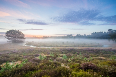 Zonsopkomst in combinatie met een langzaam opwekkende mist.