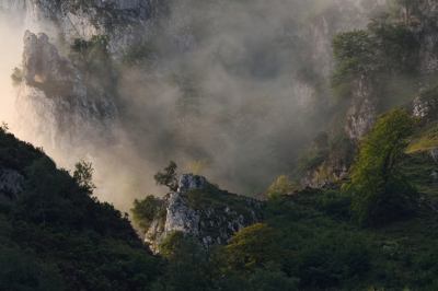 <i class='fa fa-user'></i>&nbsp;liesbeth van vliet&nbsp;|  Picos de Europa&nbsp; <i class='fa fa-eye'>&nbsp;208</i> &nbsp;<i class='fa fa-thumbs-up'>&nbsp;12</i> &nbsp; <i class='fa fa-comment-o'>&nbsp;9</i>