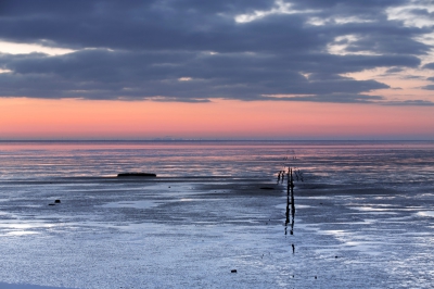 <i class='fa fa-user'></i>&nbsp;ep&nbsp;|  De waddenzee&nbsp; <i class='fa fa-eye'>&nbsp;67</i> &nbsp; <i class='fa fa-comment-o'>&nbsp;8</i>