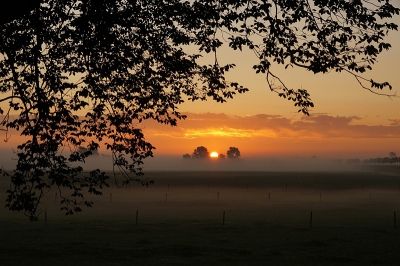 <i class='fa fa-user'></i>&nbsp;Nel R&nbsp;|  Zonsopkomst&nbsp; <i class='fa fa-eye'>&nbsp;118</i> &nbsp;<i class='fa fa-thumbs-up'>&nbsp;1</i> &nbsp; <i class='fa fa-comment-o'>&nbsp;4</i>