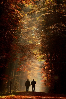 Camera: Canon eos 7D mark I
Objectief: Sigma 150- 500mm (op 150 mm)
Diafragma: F7.1
ISO-800
Sluitertijd: 1/500 sec
Belichtingscompensatie: -2/3 stop belicht
Picture syle: Landscape 
Witbalanss: Cloudy/ bewolkt om extra kleurverzadiging te krijgen
Uit de hand geschoten vanaf een laag standpunt.