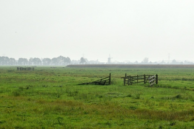 <i class='fa fa-user'></i>&nbsp;kooyammers&nbsp;|  Alblasserwaard-impressie&nbsp; <i class='fa fa-eye'>&nbsp;106</i> &nbsp; <i class='fa fa-comment-o'>&nbsp;6</i>