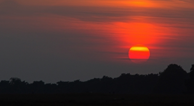 <i class='fa fa-user'></i>&nbsp;nelappelmelk&nbsp;|  Rode zonsondergang&nbsp; <i class='fa fa-eye'>&nbsp;67</i> &nbsp;<i class='fa fa-thumbs-up'>&nbsp;1</i> &nbsp; <i class='fa fa-comment-o'>&nbsp;7</i>