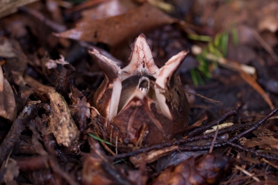 <i class='fa fa-user'></i>&nbsp;Gert-Jan Cromwijk&nbsp;|  Aardster sp.&nbsp; <i class='fa fa-eye'>&nbsp;133</i> &nbsp; <i class='fa fa-comment-o'>&nbsp;1</i>
