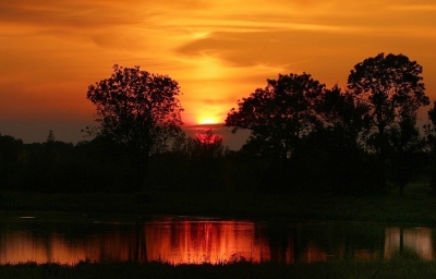 <i class='fa fa-user'></i>&nbsp;Ben Aalders&nbsp;|  Zonsondergang&nbsp; <i class='fa fa-eye'>&nbsp;69</i> &nbsp;<i class='fa fa-thumbs-up'>&nbsp;2</i> &nbsp; <i class='fa fa-comment-o'>&nbsp;9</i>