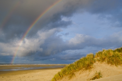 <i class='fa fa-user'></i>&nbsp;vosberg&nbsp;|  Zee, strand en duinen met regenboog&nbsp; <i class='fa fa-eye'>&nbsp;123</i> &nbsp; <i class='fa fa-comment-o'>&nbsp;3</i>