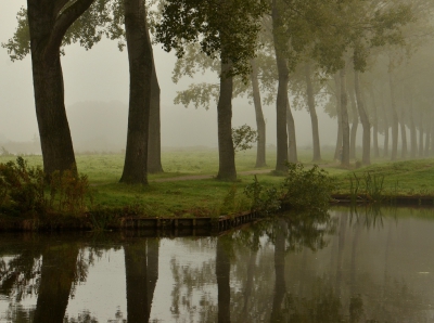 <i class='fa fa-user'></i>&nbsp;B.M.Schouten-Ruis&nbsp;|  Mistig landschap met populierenbomen&nbsp; <i class='fa fa-eye'>&nbsp;154</i> &nbsp;<i class='fa fa-thumbs-up'>&nbsp;3</i> &nbsp; <i class='fa fa-comment-o'>&nbsp;8</i>
