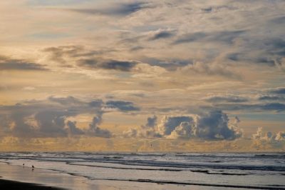 <i class='fa fa-user'></i>&nbsp;vosberg&nbsp;|  Wolkenpracht op strand&nbsp; <i class='fa fa-eye'>&nbsp;153</i> &nbsp; <i class='fa fa-comment-o'>&nbsp;3</i>