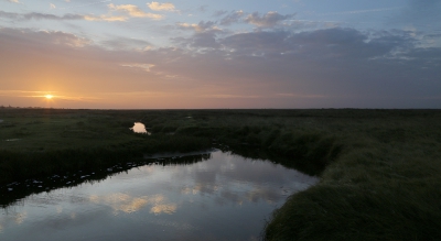 <i class='fa fa-user'></i>&nbsp;Ben Aalders&nbsp;|  Zonsopkomst&nbsp; <i class='fa fa-eye'>&nbsp;91</i> &nbsp; <i class='fa fa-comment-o'>&nbsp;4</i>