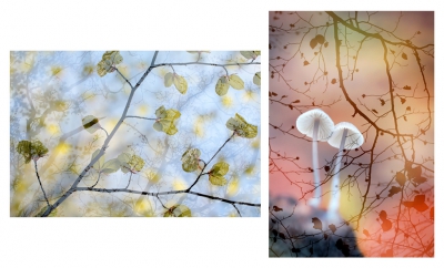 Twee verschillende foto's, gemaakt met meervoudige belichting die ik al eerder op Nederpix heb geplaatst.