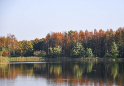 <i class='fa fa-user'></i>&nbsp;momo&nbsp;|  Herfst&nbsp; <i class='fa fa-eye'>&nbsp;106</i> &nbsp; <i class='fa fa-comment-o'>&nbsp;2</i>