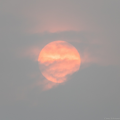 Rond 17:00 uur gemaakt. De Sahara zand en rook van de bosbranden zag je af en toe langs de zon voorbij trekken, waardoor het leek of het een bewolkte dag was.