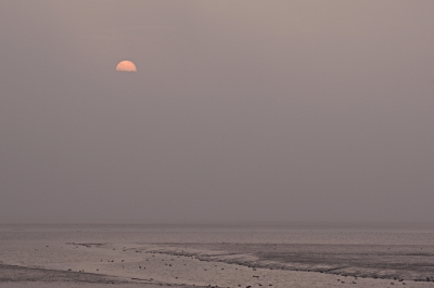 <i class='fa fa-user'></i>&nbsp;Geert-Jan&nbsp;|  Punt van Reide&nbsp; <i class='fa fa-eye'>&nbsp;128</i> &nbsp;<i class='fa fa-thumbs-up'>&nbsp;2</i> &nbsp; <i class='fa fa-comment-o'>&nbsp;4</i>