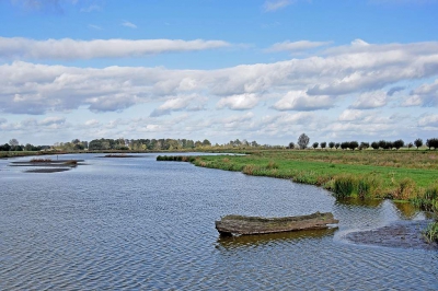 <i class='fa fa-user'></i>&nbsp;kooyammers&nbsp;|  Vogelplas Polder Den Hoek&nbsp; <i class='fa fa-eye'>&nbsp;122</i> &nbsp; <i class='fa fa-comment-o'>&nbsp;3</i>