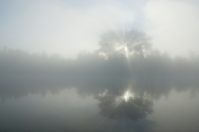 <i class='fa fa-user'></i>&nbsp;Schollevaer&nbsp;|  Zonsopkomst&nbsp; <i class='fa fa-eye'>&nbsp;175</i> &nbsp;<i class='fa fa-thumbs-up'>&nbsp;6</i> &nbsp; <i class='fa fa-comment-o'>&nbsp;6</i>