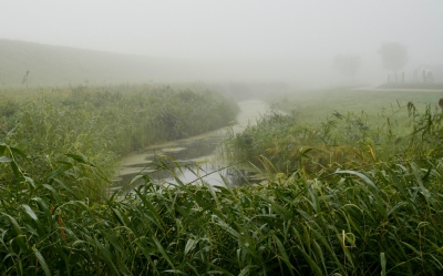 <i class='fa fa-user'></i>&nbsp;B.M.Schouten-Ruis&nbsp;|  Mistig landschap&nbsp; <i class='fa fa-eye'>&nbsp;116</i> &nbsp; <i class='fa fa-comment-o'>&nbsp;4</i>