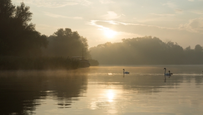<i class='fa fa-user'></i>&nbsp;Schollevaer&nbsp;|  Zonsopkomst Biesbosch (Nerzienplaatje)&nbsp; <i class='fa fa-eye'>&nbsp;153</i> &nbsp;<i class='fa fa-thumbs-up'>&nbsp;2</i> &nbsp; <i class='fa fa-comment-o'>&nbsp;5</i>