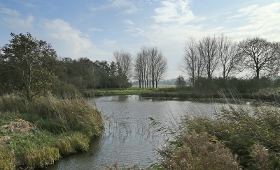 <i class='fa fa-user'></i>&nbsp;Ben Aalders&nbsp;|  Westerveldse bos&nbsp; <i class='fa fa-eye'>&nbsp;106</i> &nbsp;<i class='fa fa-thumbs-up'>&nbsp;3</i> &nbsp; <i class='fa fa-comment-o'>&nbsp;3</i>