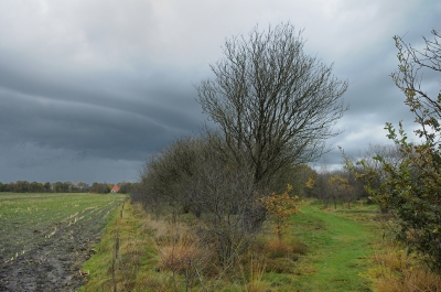 <i class='fa fa-user'></i>&nbsp;Hendrik van Kampen&nbsp;|  Merskenheide&nbsp; <i class='fa fa-eye'>&nbsp;140</i> &nbsp;<i class='fa fa-thumbs-up'>&nbsp;1</i> &nbsp; <i class='fa fa-comment-o'>&nbsp;4</i>