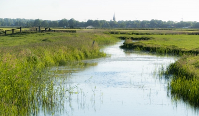 <i class='fa fa-user'></i>&nbsp;Hans Smink&nbsp;|  Polderlandschap&nbsp; <i class='fa fa-eye'>&nbsp;115</i> &nbsp; <i class='fa fa-comment-o'>&nbsp;5</i>