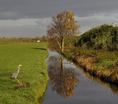 <i class='fa fa-user'></i>&nbsp;ko katsman&nbsp;|  Spiegelberk&nbsp; <i class='fa fa-eye'>&nbsp;162</i> &nbsp;<i class='fa fa-thumbs-up'>&nbsp;1</i> &nbsp; <i class='fa fa-comment-o'>&nbsp;2</i>