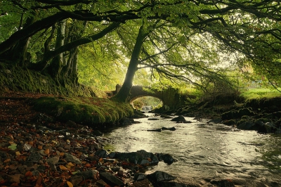 <i class='fa fa-user'></i>&nbsp;Nel R&nbsp;|  Herfst in Exmoor&nbsp; <i class='fa fa-eye'>&nbsp;273</i> &nbsp;<i class='fa fa-thumbs-up'>&nbsp;16</i> &nbsp; <i class='fa fa-comment-o'>&nbsp;15</i>