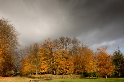 <i class='fa fa-user'></i>&nbsp;Bemaliri&nbsp;|  Herfst in Nederland&nbsp; <i class='fa fa-eye'>&nbsp;206</i> &nbsp;<i class='fa fa-thumbs-up'>&nbsp;2</i> &nbsp; <i class='fa fa-comment-o'>&nbsp;5</i>