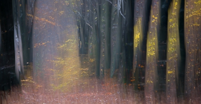 <i class='fa fa-user'></i>&nbsp;nelappelmelk&nbsp;|  Herfstimpressie&nbsp; <i class='fa fa-eye'>&nbsp;247</i> &nbsp;<i class='fa fa-thumbs-up'>&nbsp;1</i> &nbsp; <i class='fa fa-comment-o'>&nbsp;9</i>