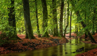 De regen die maar niet ophield, een regenachtige zondag.