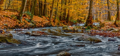 <i class='fa fa-user'></i>&nbsp;BJBel&nbsp;|  De Ho�gne in de herfst&nbsp; <i class='fa fa-eye'>&nbsp;253</i> &nbsp;<i class='fa fa-thumbs-up'>&nbsp;1</i> &nbsp; <i class='fa fa-comment-o'>&nbsp;5</i>